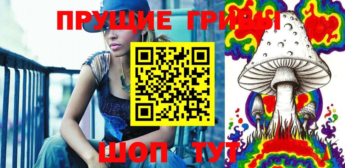 Десногорск  Псилоцибиновые грибы прущие грибы  Вход с VPN 